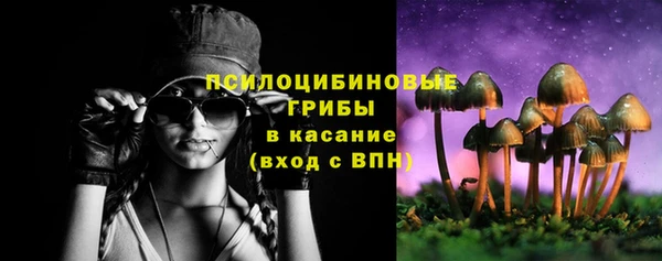 соль курить ск Белокуриха