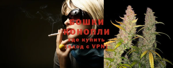 мяу мяу мука Беломорск