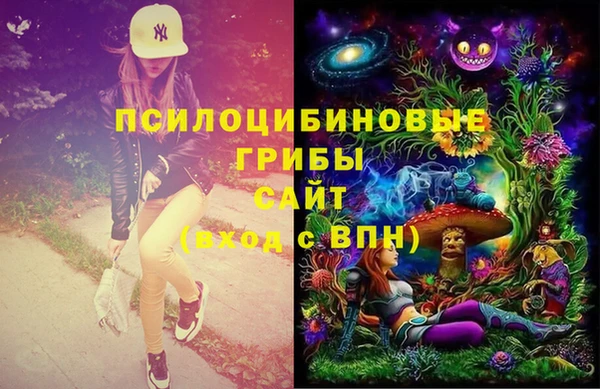 амф Белоозёрский