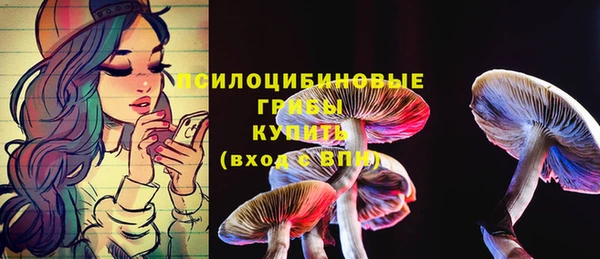 соль курить ск Белокуриха
