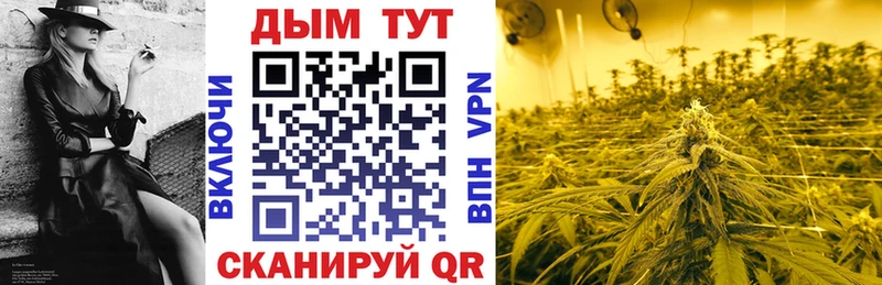 Канабис план  Печора 